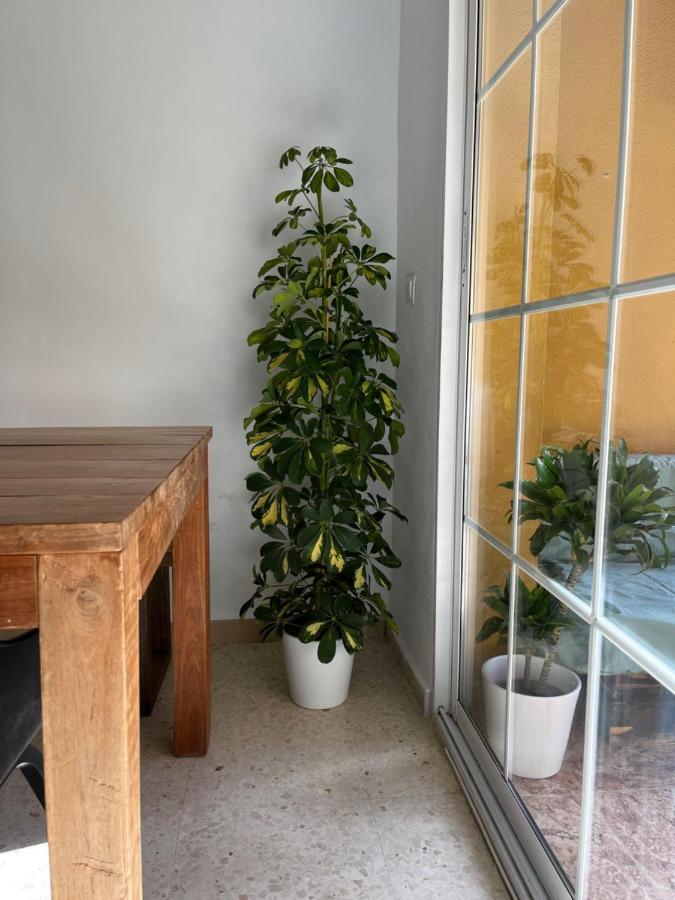 Apartamento La Biznaga Málaga Exterior foto