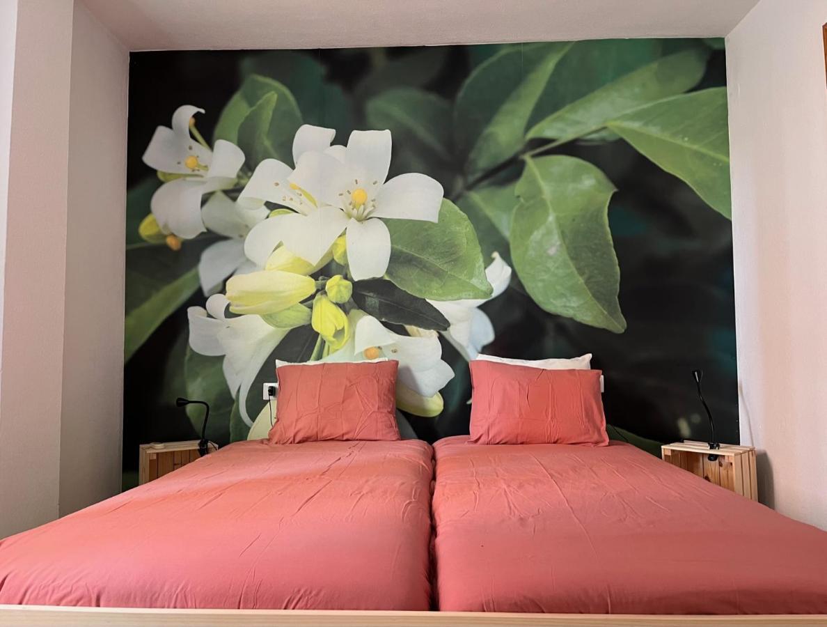 Apartamento La Biznaga Málaga Exterior foto